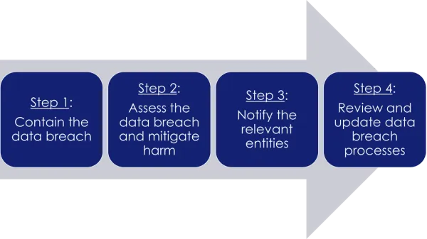  Steps to follow when an entity suspects a data breach