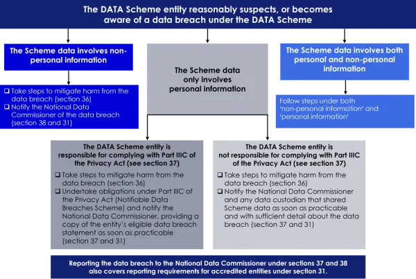 Scheme entity responsibilities during a data breach